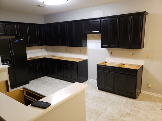 Project 16B Kitchen Cabinets