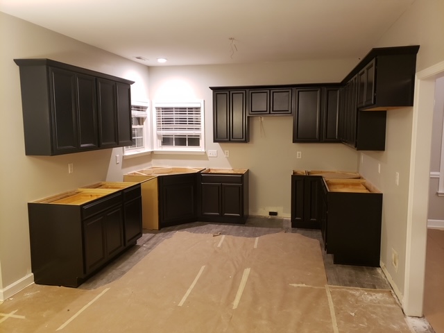 Project 23A Kitchen Cabinets